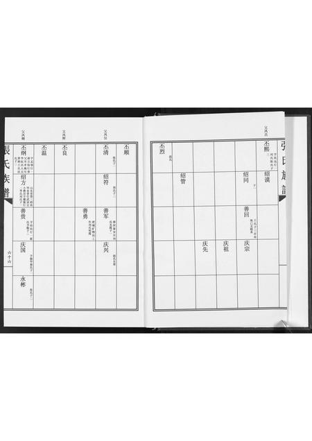 山东张氏-张氏族谱.pdf电子版预览图3