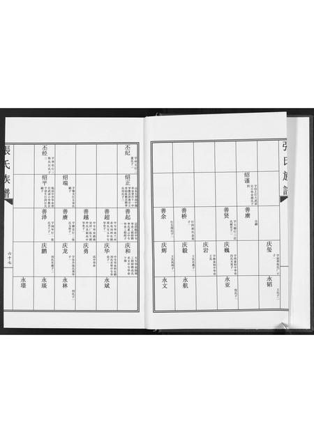 山东张氏-张氏族谱.pdf电子版预览图4