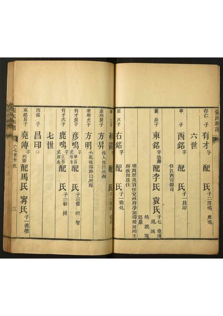 山东张氏-张氏族谱.pdf电子版预览图3