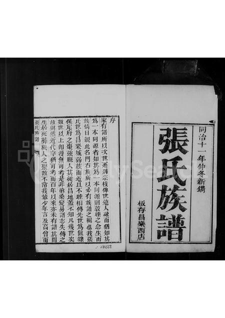 山东张氏-张氏族谱.pdf电子版预览图2