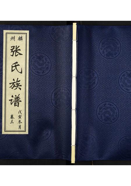 山东张氏-张氏族谱.pdf电子版缩略图