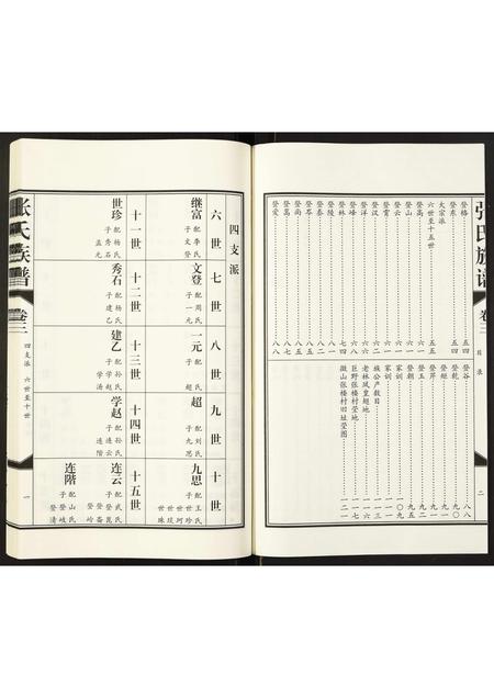 山东张氏-张氏族谱.pdf电子版预览图2