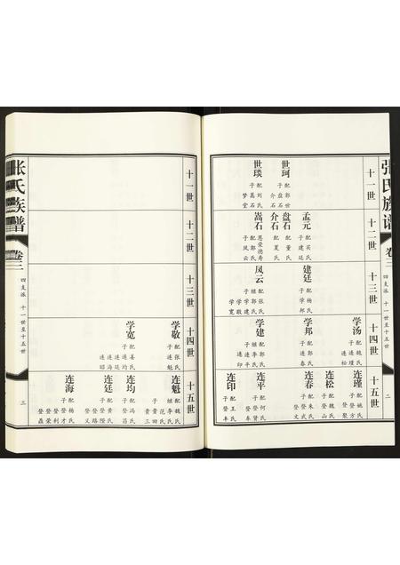 山东张氏-张氏族谱.pdf电子版预览图3