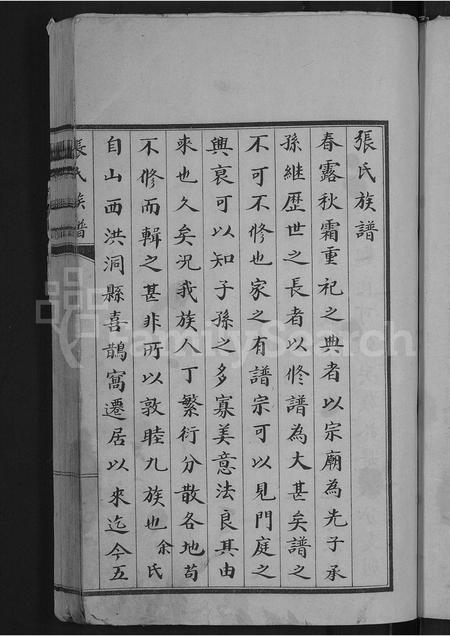 山东张氏-张氏族谱 [不分卷].pdf电子版预览图3