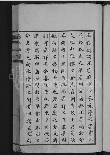 山东张氏-张氏族谱 [不分卷].pdf电子版预览图5