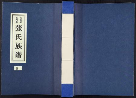 山东张氏-张氏族谱[10卷].pdf电子版缩略图