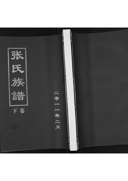山东张氏-张氏族谱[2卷].pdf电子版缩略图