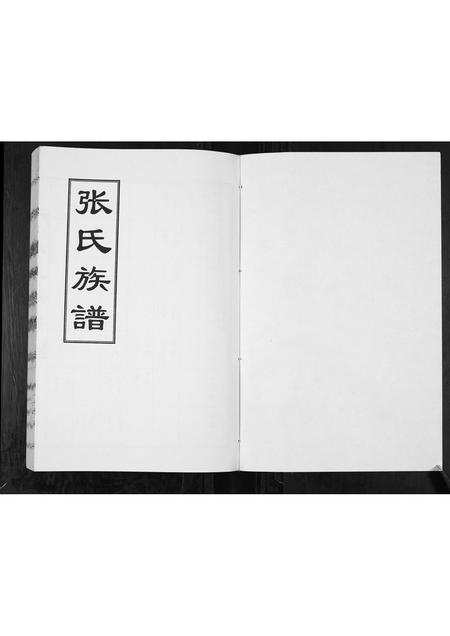 山东张氏-张氏族谱[2卷].pdf电子版预览图1