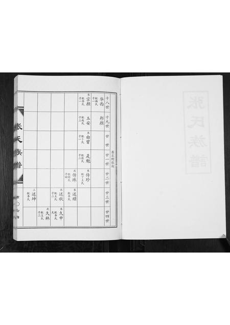 山东张氏-张氏族谱[2卷].pdf电子版预览图2