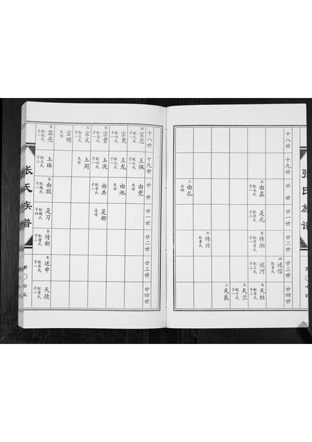 山东张氏-张氏族谱[2卷].pdf电子版预览图3