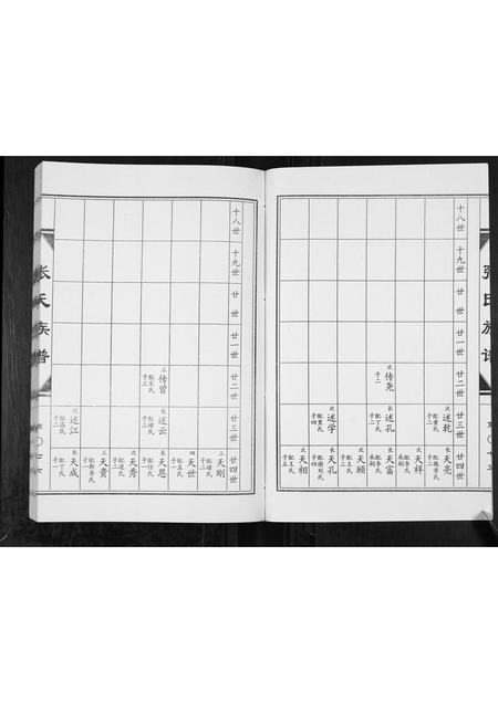 山东张氏-张氏族谱[2卷].pdf电子版预览图4