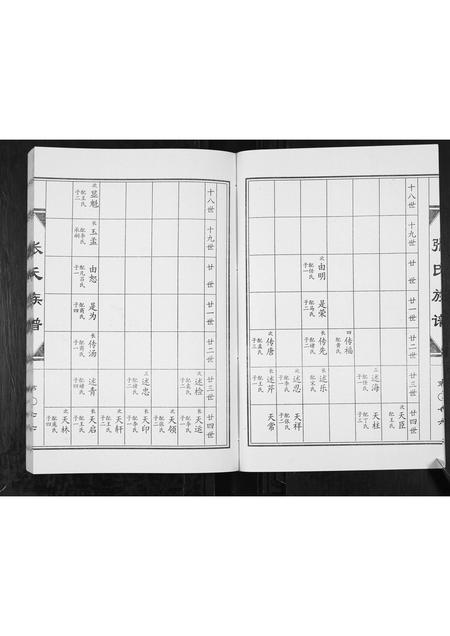 山东张氏-张氏族谱[2卷].pdf电子版预览图5