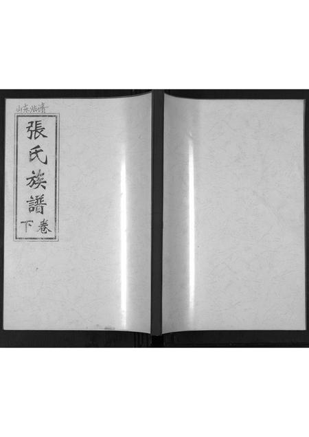 山东张氏-张氏族谱[2卷].pdf电子版缩略图