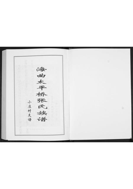 山东张氏-张氏族谱小庄村支谱.pdf电子版预览图1