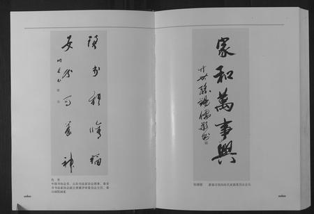 山东张氏-新泰窑沟张氏族谱.pdf电子版预览图5