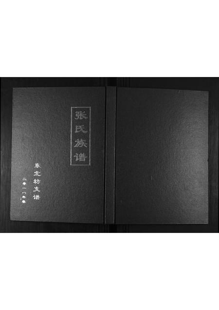 山东张氏-东北坊张氏族谱.pdf电子版缩略图