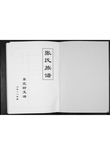 山东张氏-东北坊张氏族谱.pdf电子版预览图1