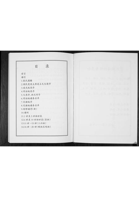 山东张氏-东北坊张氏族谱.pdf电子版预览图3