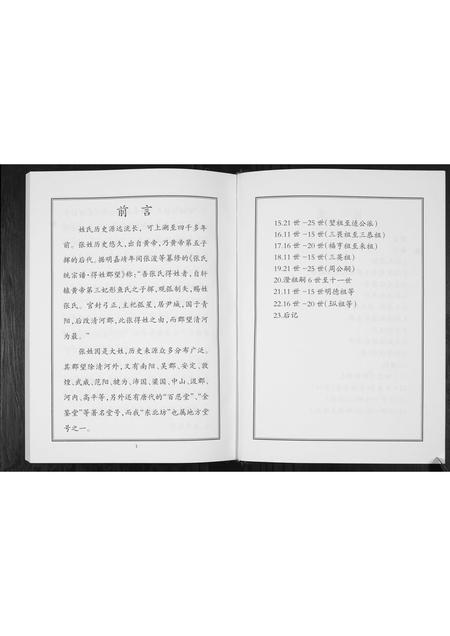 山东张氏-东北坊张氏族谱.pdf电子版预览图4