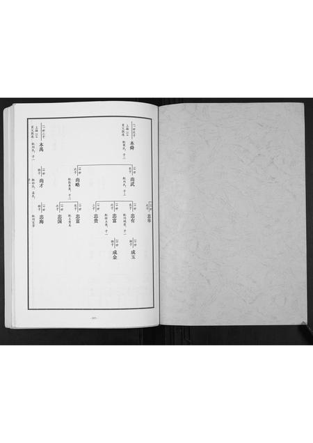 山东张氏-东原张氏族谱[2卷].pdf电子版预览图1