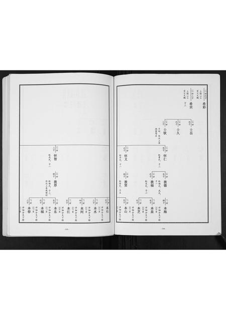 山东张氏-东原张氏族谱[2卷].pdf电子版预览图2