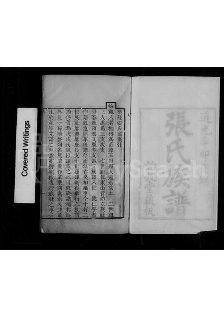 山东张氏-乐陵张氏族谱 [8卷](别名：张氏族谱).pdf电子版预览图4