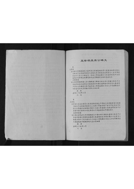 山东张氏-桥东张氏家乘.pdf电子版预览图2