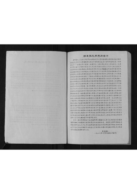 山东张氏-桥东张氏家乘.pdf电子版预览图3