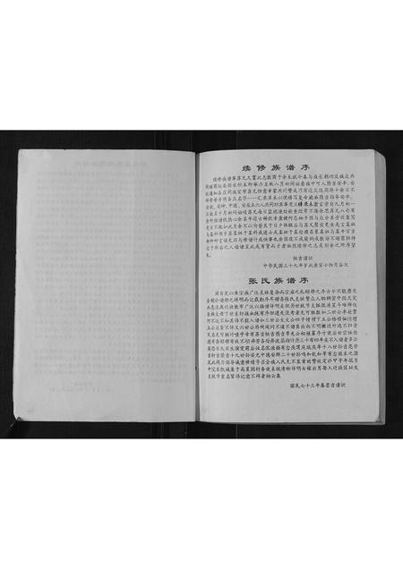 山东张氏-桥东张氏家乘.pdf电子版预览图4