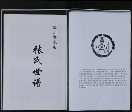 山东张氏-淄川鲁家庄张氏世谱 [不分卷](别名：淄川鲁家张氏世谱).pdf电子版预览图2