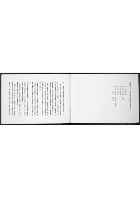 山东张氏-诸城张氏家谱[不分卷].pdf电子版预览图3