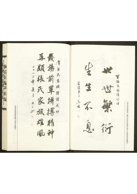 山东张氏-黄金坡张氏族谱.pdf电子版预览图3