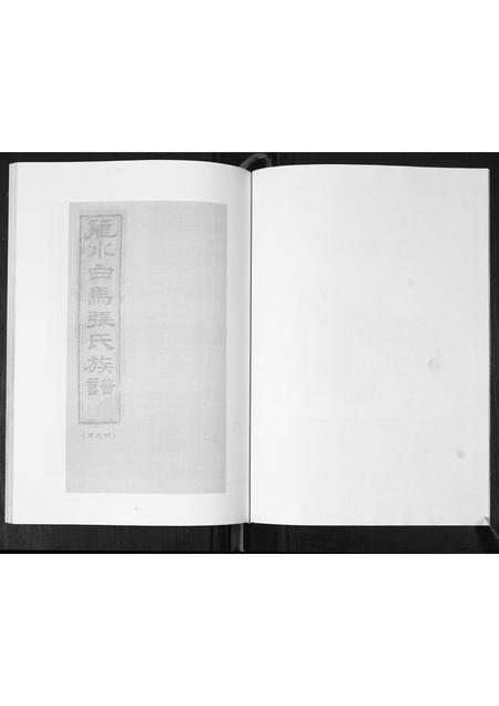 山东张氏-龙水白马张氏族谱.pdf电子版预览图2