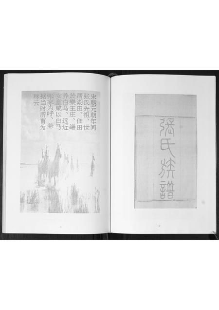 山东张氏-龙水白马张氏族谱.pdf电子版预览图3