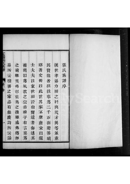 山西张氏-定阳张氏族谱 [4卷].pdf电子版预览图4