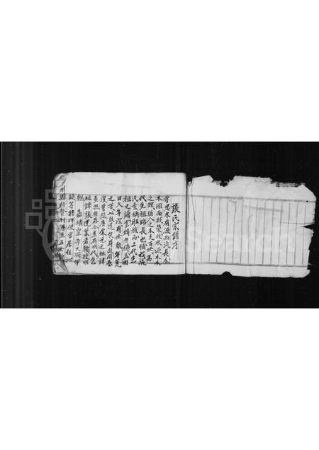 山西张氏-张氏宗谱.pdf电子版缩略图