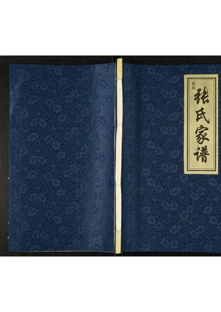 山西张氏-张氏家谱.pdf电子版缩略图