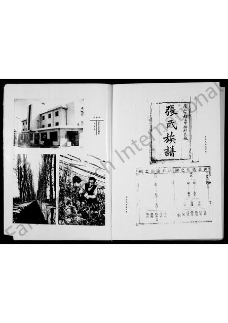 山西张氏-张氏族谱.pdf电子版预览图4