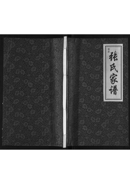 山西张氏-张氏族谱[不分卷].pdf电子版缩略图