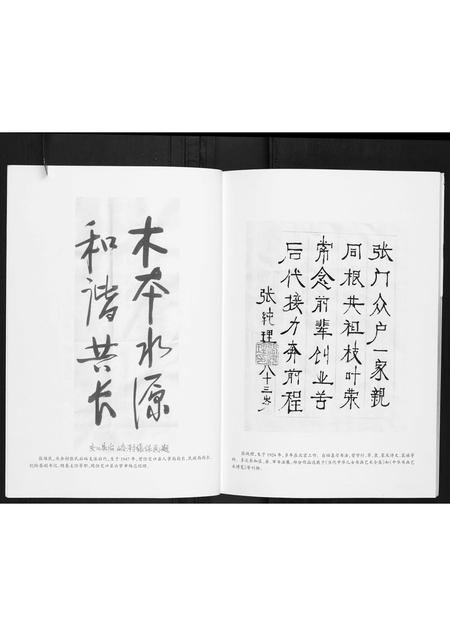 山西张氏-庆余村张氏族谱.pdf电子版预览图3