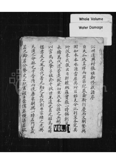 山西张氏-沁州道兴村张姓新修族谱.pdf电子版缩略图