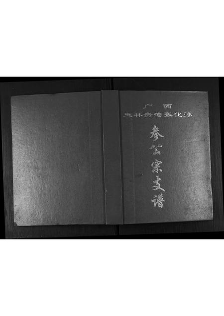 广西张氏-广西省玉林贵港张化孙参公宗支谱.pdf电子版缩略图