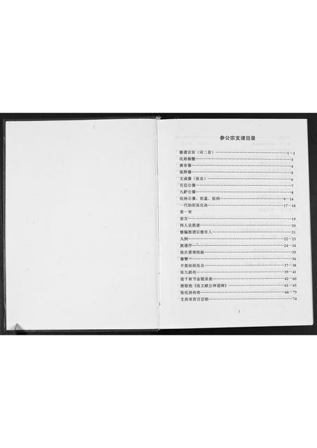 广西张氏-广西省玉林贵港张化孙参公宗支谱.pdf电子版预览图1