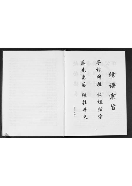 广西张氏-广西省玉林贵港张化孙参公宗支谱.pdf电子版预览图4