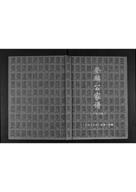 广西张氏-[张氏]登麟公家谱.pdf电子版缩略图