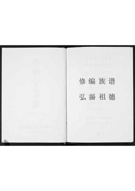 广西张氏-[张氏]登麟公家谱.pdf电子版预览图2