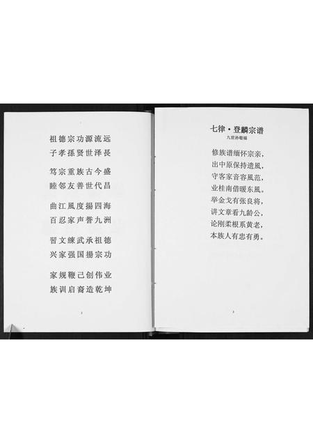 广西张氏-[张氏]登麟公家谱.pdf电子版预览图3