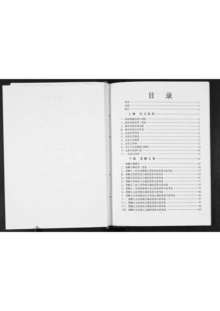 广西张氏-[张氏]登麟公家谱.pdf电子版预览图5