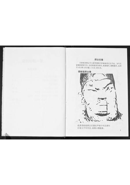 广西张氏-张氏大禄公族谱.pdf电子版预览图4