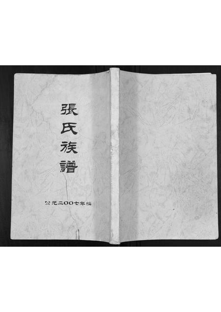 广西张氏-张氏宗谱.pdf电子版缩略图